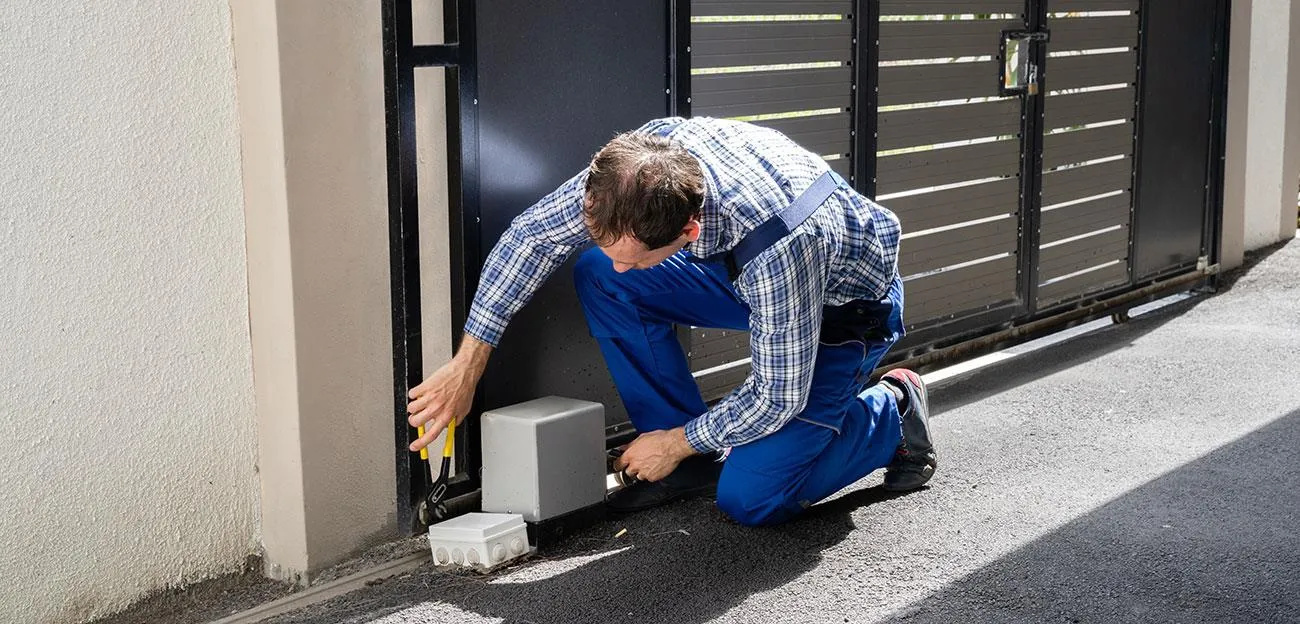 🔌 Centralina/Scheda Elettronica Difettosa