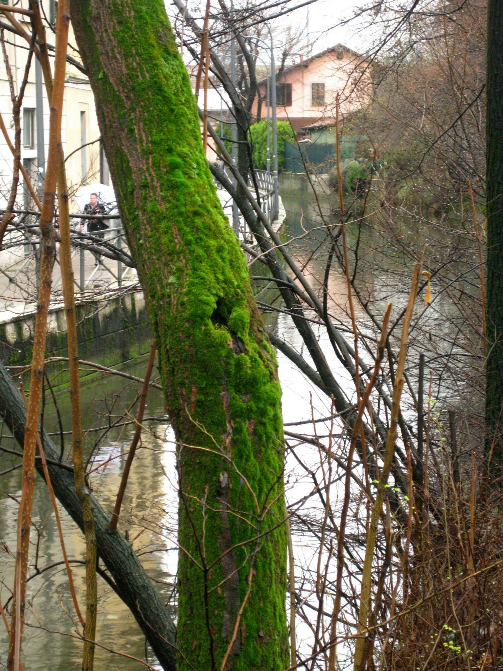 Ricerca Perdite a Porta Ticinese Navigli